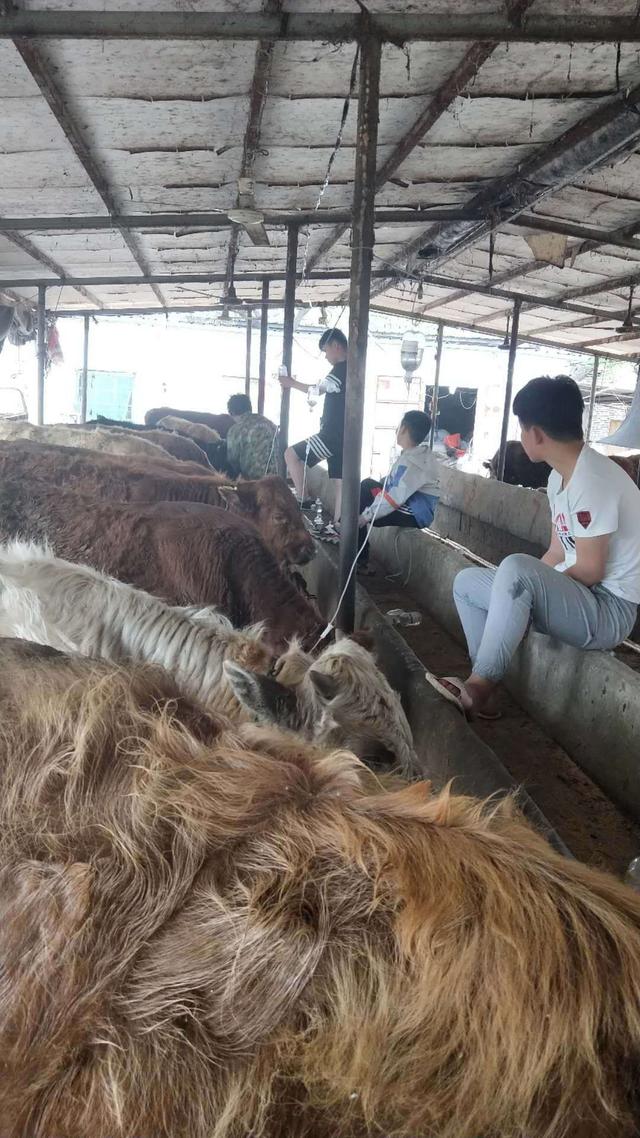哪个行业能在一年内快速挣一百万