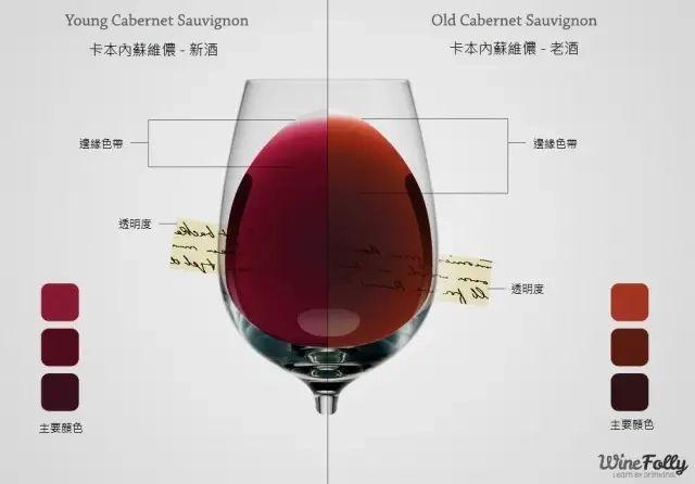 红酒鉴赏，你都是从哪些个角度品鉴葡萄酒？