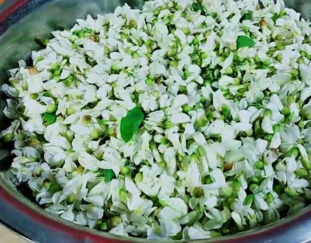 洋槐:洋槐树 过去的人们为什么爱采食洋槐花？你吃过洋槐花吗？