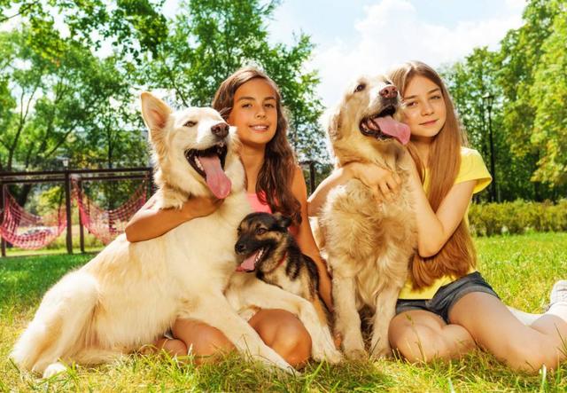 图文 狗狗情绪全解读 狗狗生气 开心的信号 狗狗开心就眯眼睛吗 Www Chongwu56 Com