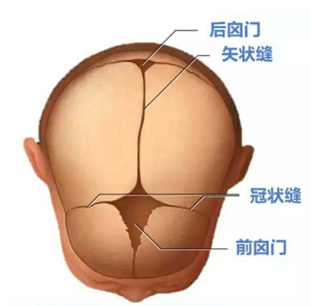 头条问答 - 卤门闭合会影响孩子的大脑发育,是真的吗?(13个回答)