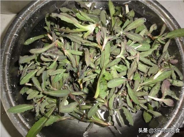 李海娜:这是什么菜？怎么个吃法？