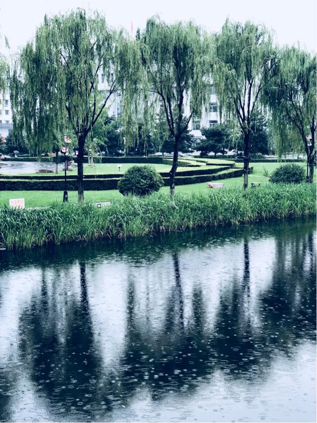 纳兰一生一世一双人痴了一代代才子佳人,我们向往的是什么？