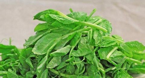 什么蔬菜补水最养生,春播季节,有什么菜可以一次种植多次收采并且生长