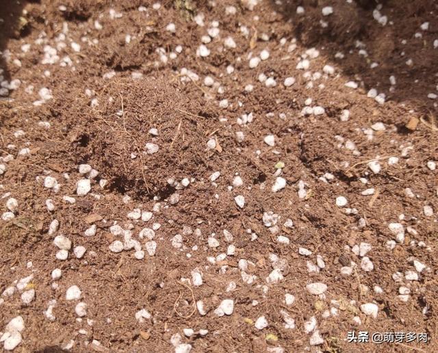 头条问答 颗粒土和多肉土是搅拌在一起吗 13个回答