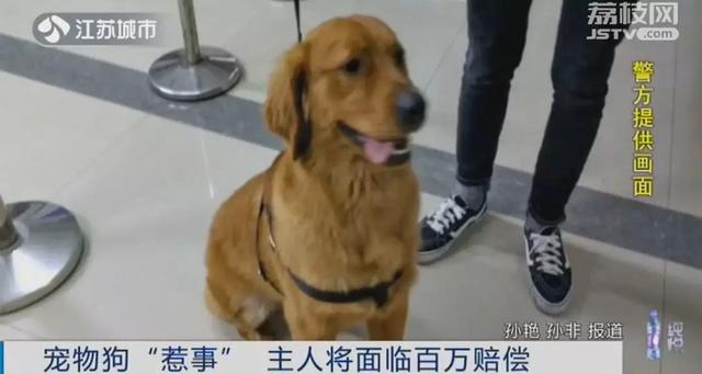 抚顺禁狗令:你对最近全国陆续推出的“禁狗令”怎么看？