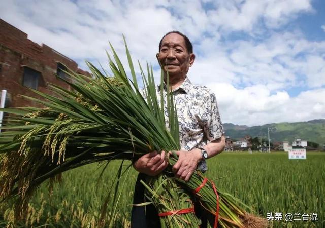 袁花花经常陪袁隆平听报告:袁隆平院士究竟是哪里人？户籍、贯籍和祖籍有哪些差异？