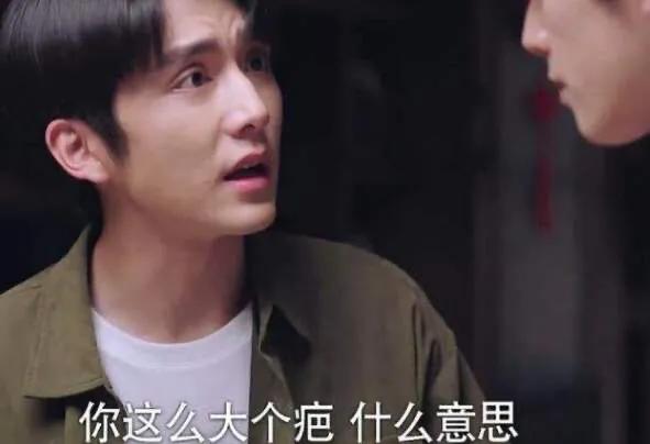 以家人之名总共多少集:《以家人之名》凌霄和贺子秋离开的九年都经历了什么？
