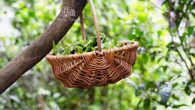 家里茶叶太多了,自己又不爱喝,做什么美食可以用得着呀？