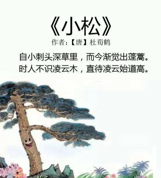 “时人不识凌云木,直待凌云始道高”,这首《小松》什么深意？