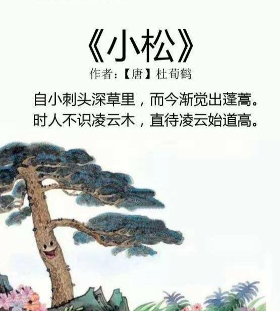 秋田犬蓬夫:秋田犬蓬夫救主人 “时人不识凌云木，直待凌云始道高”，这首《小松》什么深意？