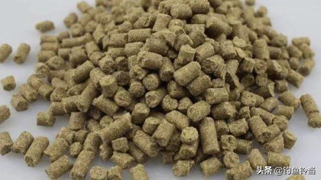 我手秃鹫的活饵:秋季野河钓鱼，用蚯蚓效果好,还是用饵料效果好？