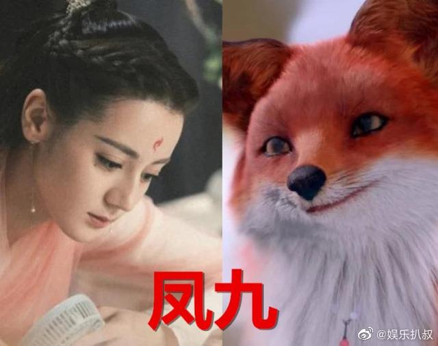 白滚滚第几集出生:凤九和东华帝君什么时候表白的？孩子白滚滚是什么时候有的？