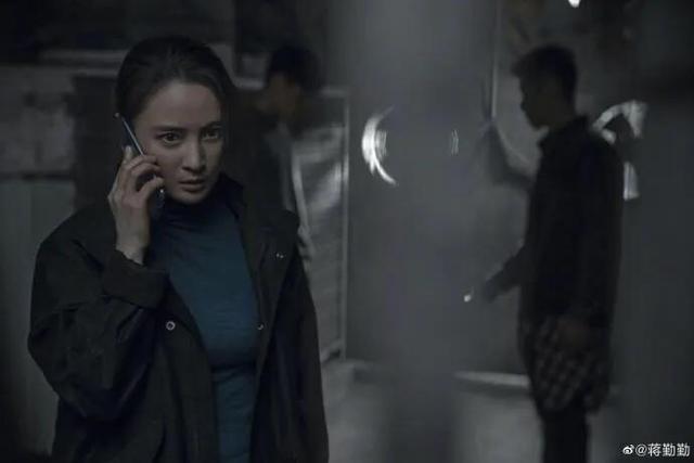 上海迷雾剧情介绍:如何评价电视剧《迷雾追踪》