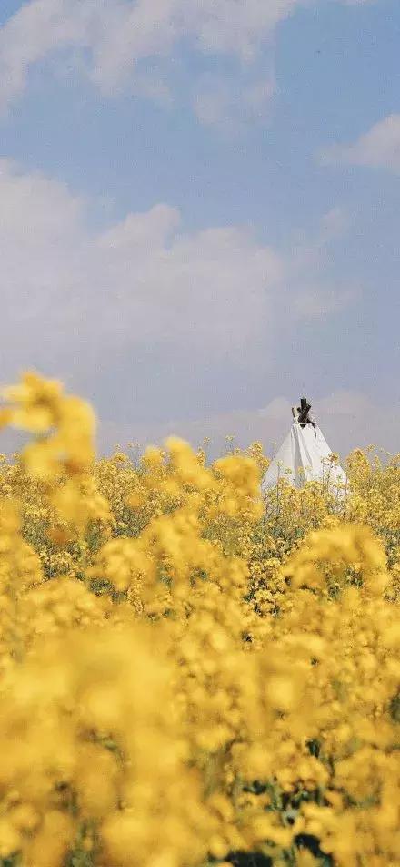 午安心语说说190421：失去一个人最有效的方法就是靠得太近