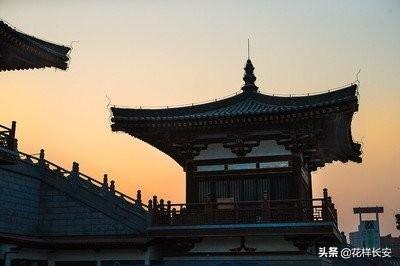 西北藏獒网红王一号:怎么看待西安是一个网红城？