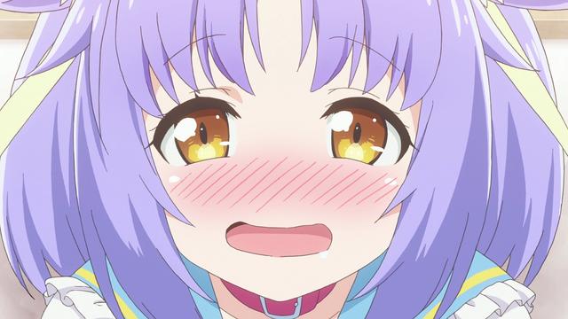 前略我与猫和天使同居动漫:一月新番《猫娘乐园》有趣吗？作品风格是怎样的？