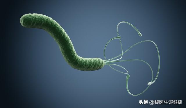 杀灭幽门螺旋杆菌的“救命稻草”的食物有哪些？