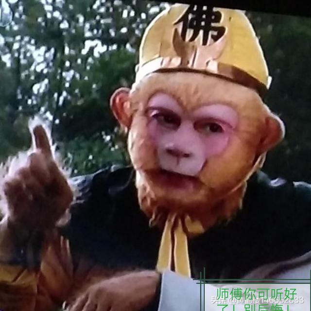 六小龄童体:六小龄童究竟为什么晚节不保
