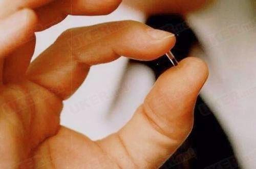 赛维洛犬菌清好不好:给狗子注射芯片到底好不好？