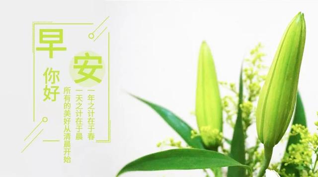 早安励志心语图片190523：活着就意味着必须要做点什么，请好好努力