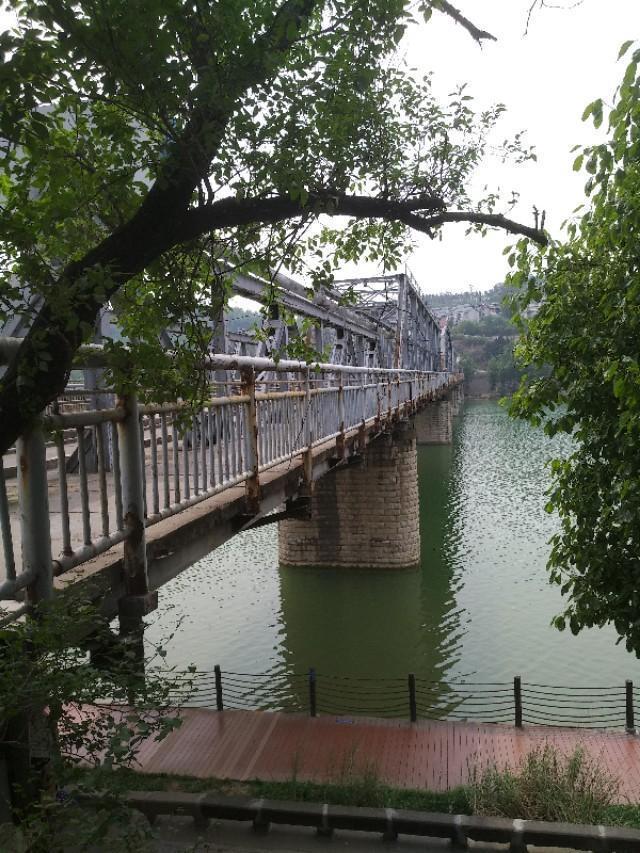 卡乐猫:一个月小猫怎么分银点和渐层？ 卡乐猫app下载
