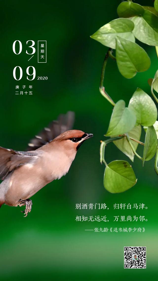 新的一周早安心语正能量图片日签：为梦想努力拼搏，坚持不懈活出自己