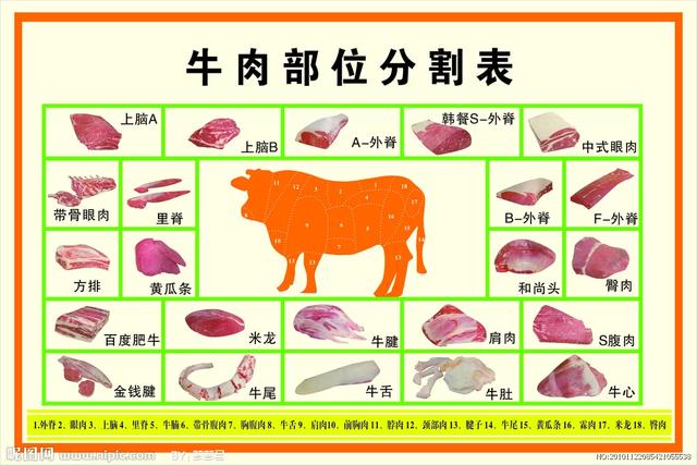 西红柿炖牛腩是用的什么牛肉？