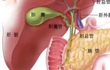 总胆红素高喝什么好:总胆红素偏高吃护肝片有用吗？