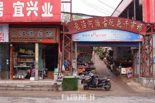 郑州宠物用品批发市场在哪:郑州有几个童车批发市场？ 郑州宠物用品批发市场在哪里