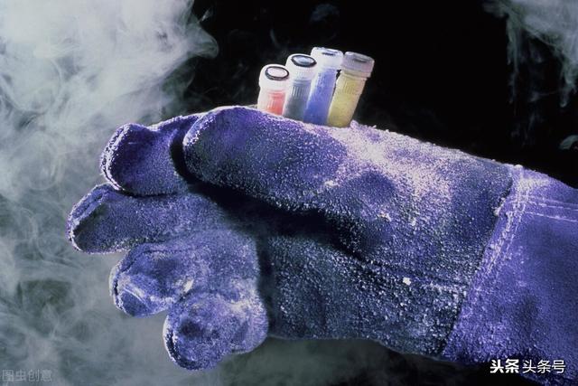 柳州宠物网雪国赏:如何看待广西柳州一司机压死宠物狗，又赔钱又向狗道歉？