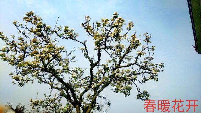 米友圈推广:大家觉得<a href=https://maguai.com/list/256-0-0.html target=_blank class=infotextkey>朋友圈</a>分享、赚佣金可靠吗？(发<a href=https://maguai.com/list/256-0-0.html target=_blank class=infotextkey>朋友圈</a>给佣金靠谱吗)