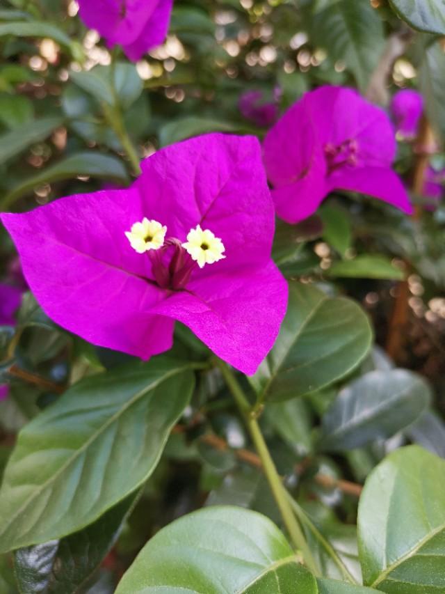 动物之森矛尾鱼雨天大海:“涨水鱼退水虾”，野河水位下降真的钓不到鱼吗？