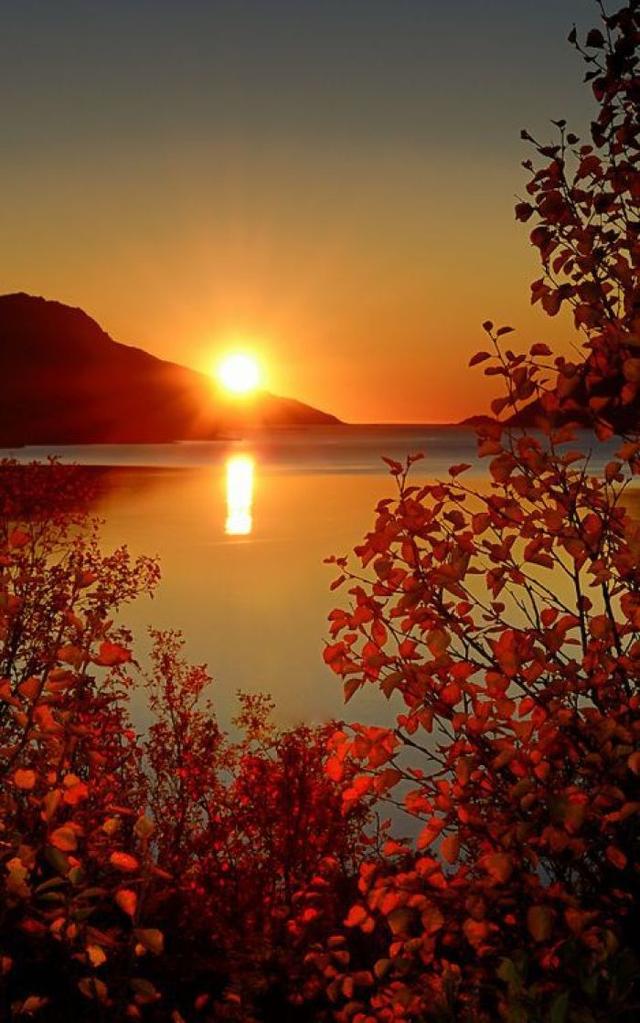 头条问答 - 如何用"日出扶桑"作一藏头诗?(145个回答)