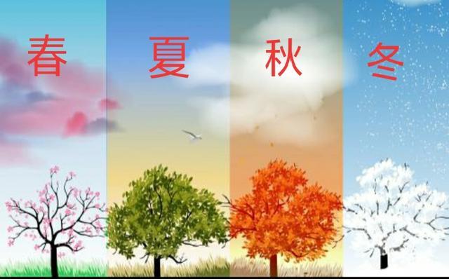 农村俗语有哪些？