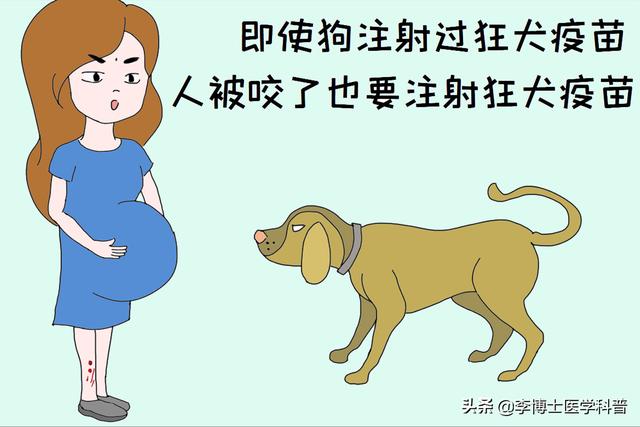 搓手猫现在怎么了:你和你收留的流浪猫，如今怎么样了？