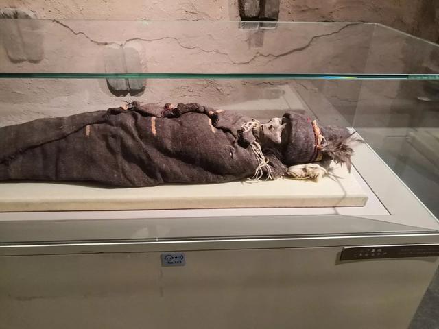 请问楼兰美女是真的吗