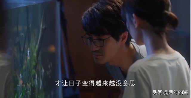 陈云夫人:《三十而已》陈屿对老婆流产无动于衷，为何却因一条鱼大发雷霆？