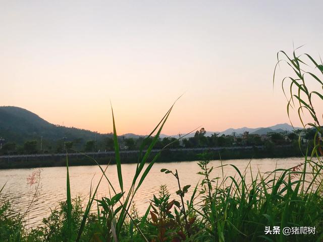 电视剧中,你无法接受的男主角是哪一个？为什么？