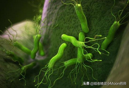 消灭幽门螺杆菌可以吃什么？有没有快速杀菌食物推荐？