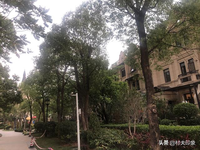 家住别墅是什么样的感觉？插图130