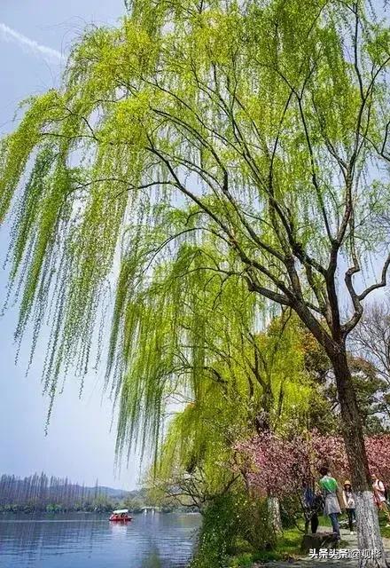 目前我们国家正处级的一年收入有多少钱？