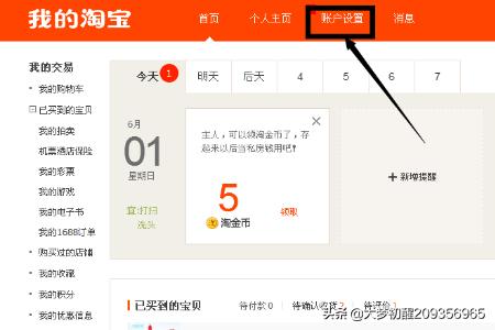 淘宝网登陆,怎样查看淘宝网登录记录？