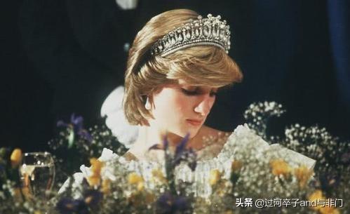 英国女王的狗狗:宠物纠纷，狗狗咬死了别人家的狗狗。我该怎么处理？