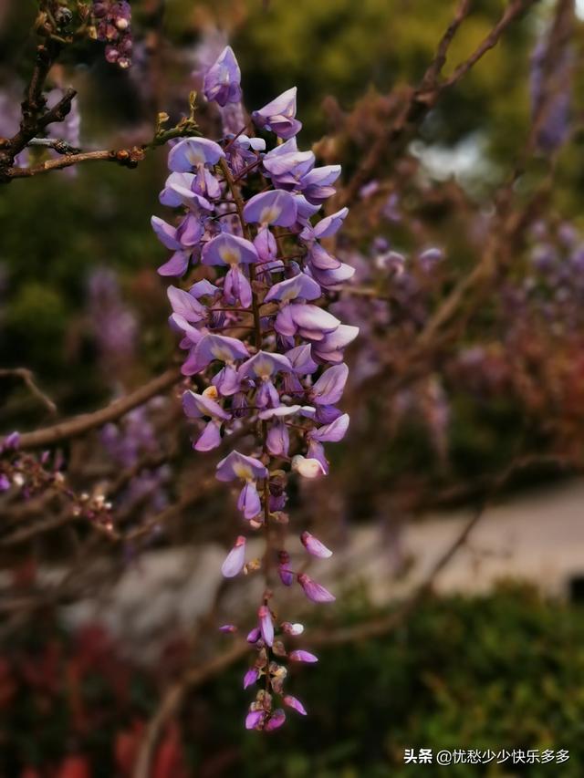 家住别墅是什么样的感觉？插图50