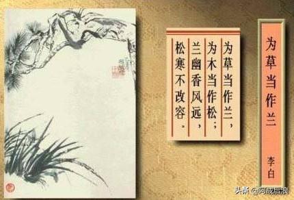 微信唯美淡雅图片:形容兰花幽香唯美的语句？(形容兰花香气的赞美)