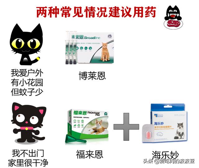 猫咪需要定期驱虫吗，猫咪该怎么进行驱虫，多久驱虫一次？