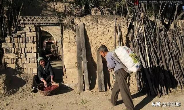 农村不起眼的商机:你认为2019年，农村将会有哪些不起眼的商机？