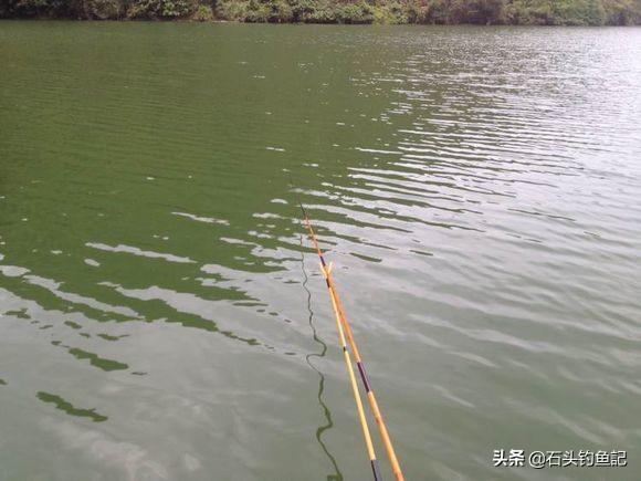 鸟虫鱼论坛:有些珠宝为何要设计成蛇、鸟、鱼、虫的外观？