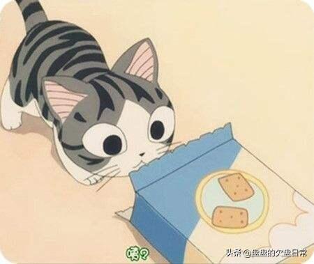 漫画甜蜜猫猫:动漫作品中有哪些有趣的猫的形象？